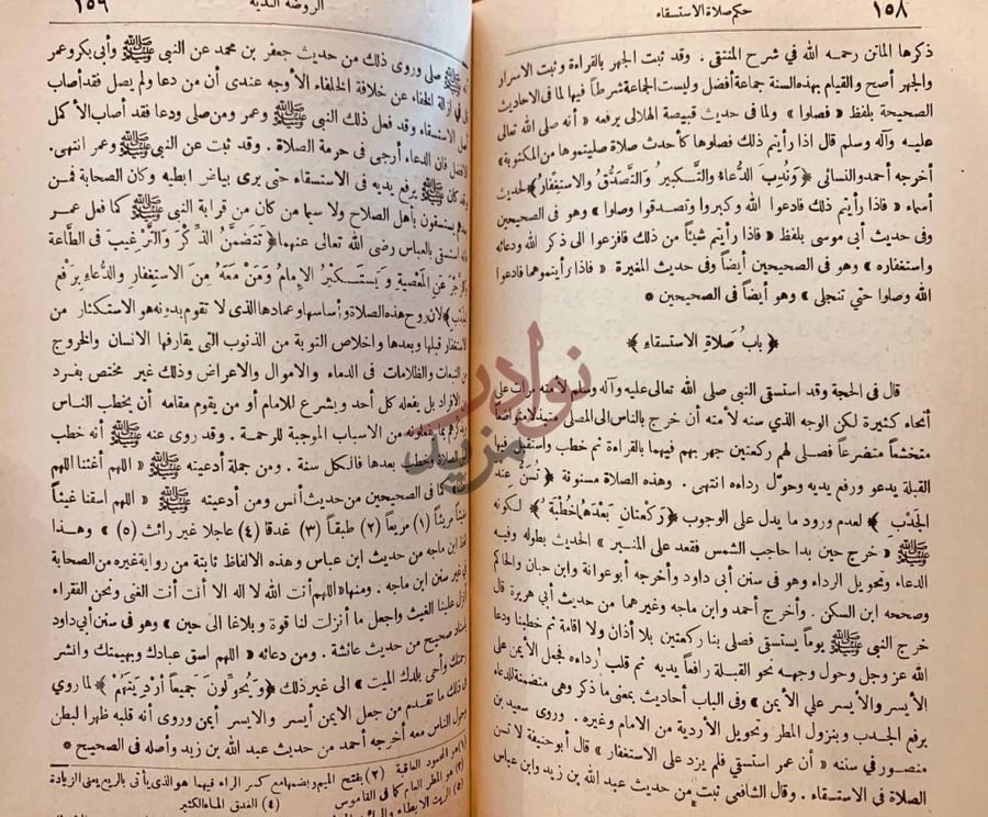 صفحة داخلية كتاب الروضة الندية شرح الدرر البهية