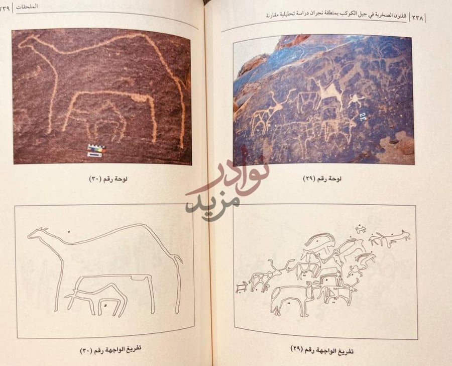 صفحة داخلية كتاب الفنون الصخرية في جبل الكوكب بمنطقة نجران
