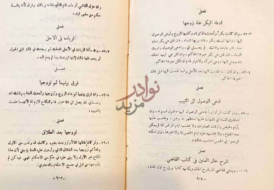 صفحة داخلية كتاب روضة القضاة وطريق النجاة