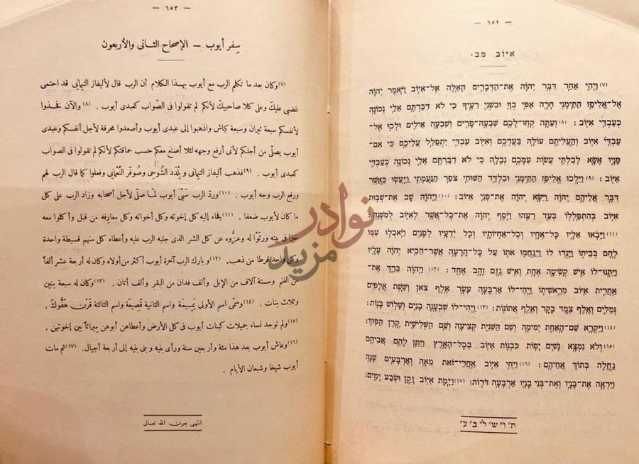 صفحة داخلية كتاب الاساس في الامم السامية ولغاتها وقواعد اللغة