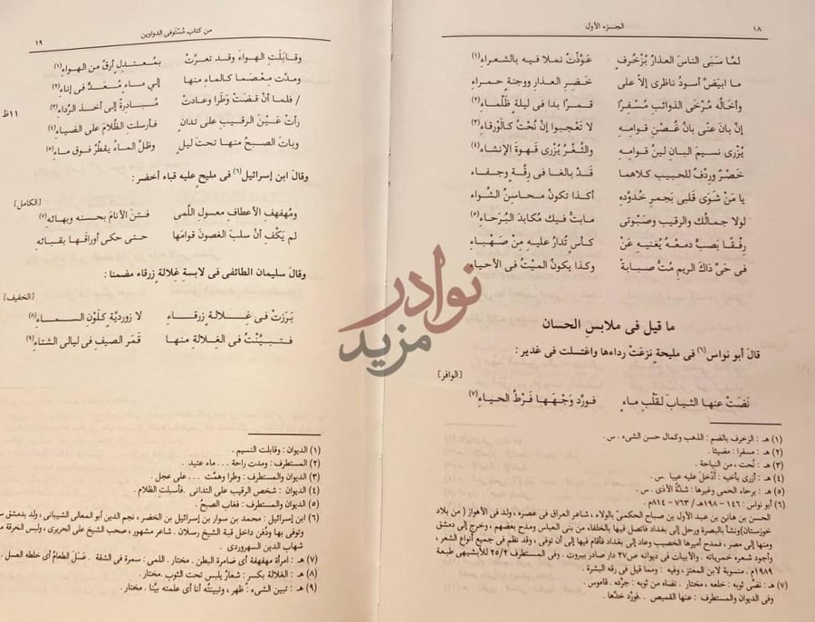 صفحة داخلية كتاب مستوفى الدواوين ما قيل في ملابس