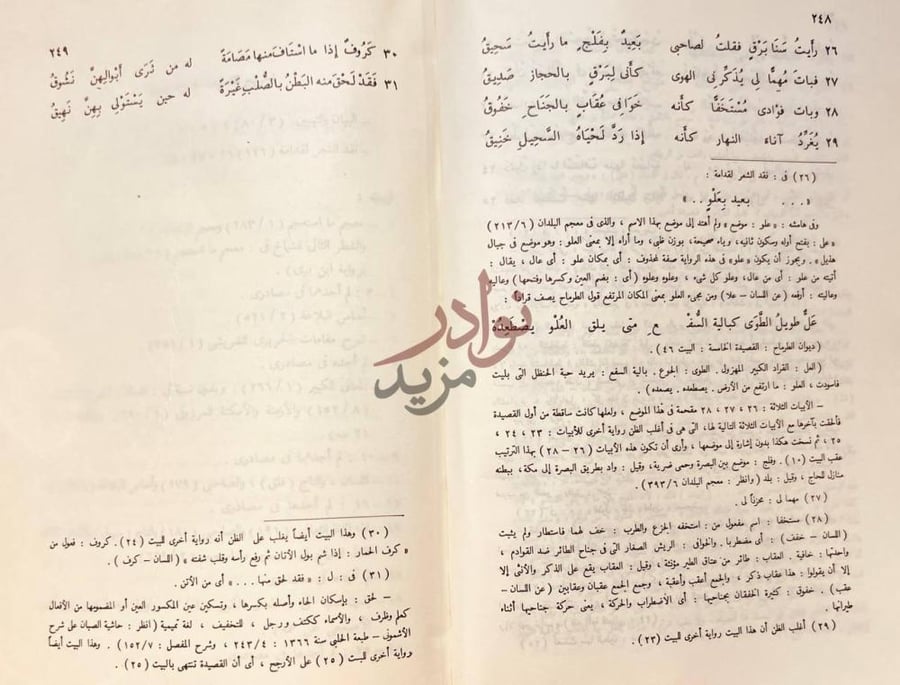صفحة داخلية كتاب ديوان الشماخ بن ضرار الذبياني