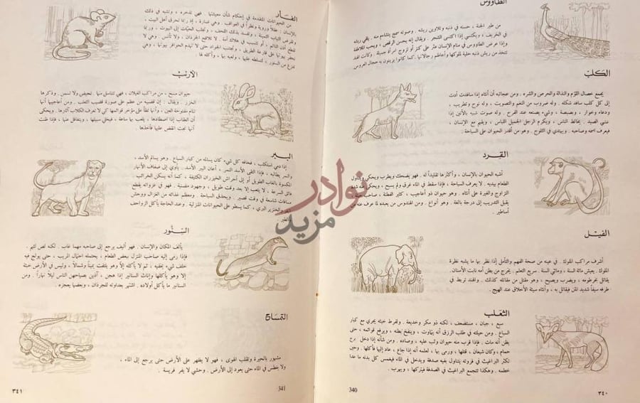 صفحة داخلية كتاب كليلة ودمنة الطاووس الكلب