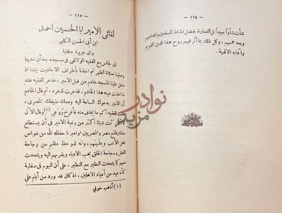 صفحة داخلية كتاب حضارة العرب في الاندلس لقاء الأمير ابا