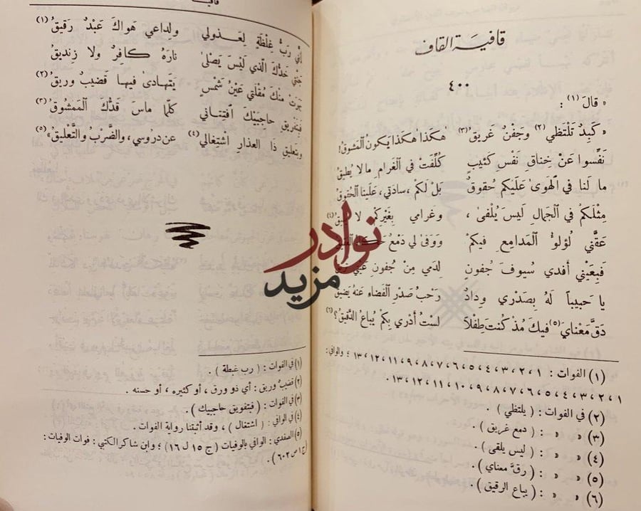 ديوان الصاحب شرف الدين الانصاري/عمر موسى