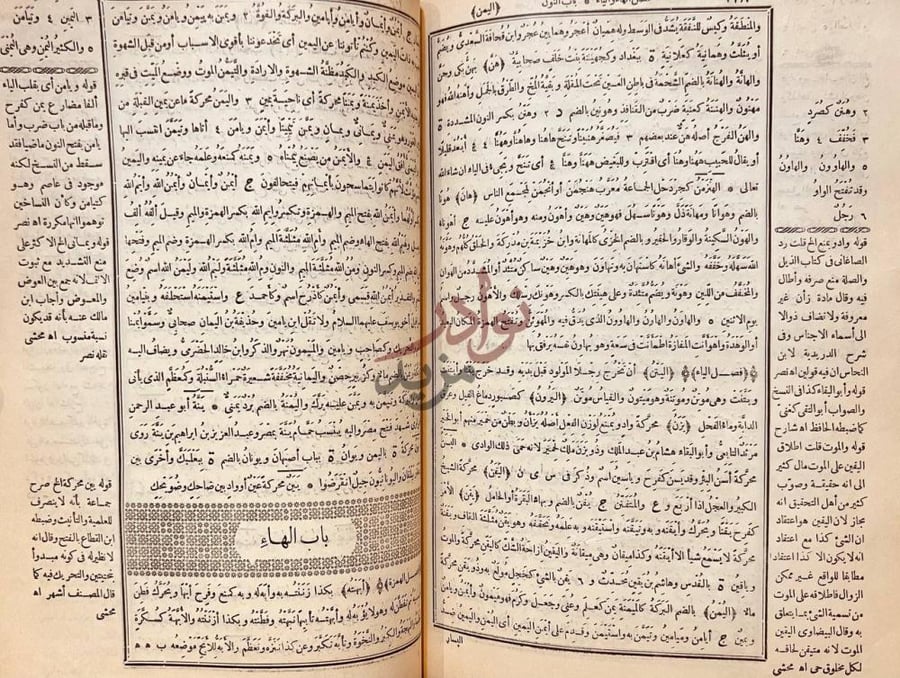 صفحة داخلية كتاب القاموس المحيط باب الهاء
