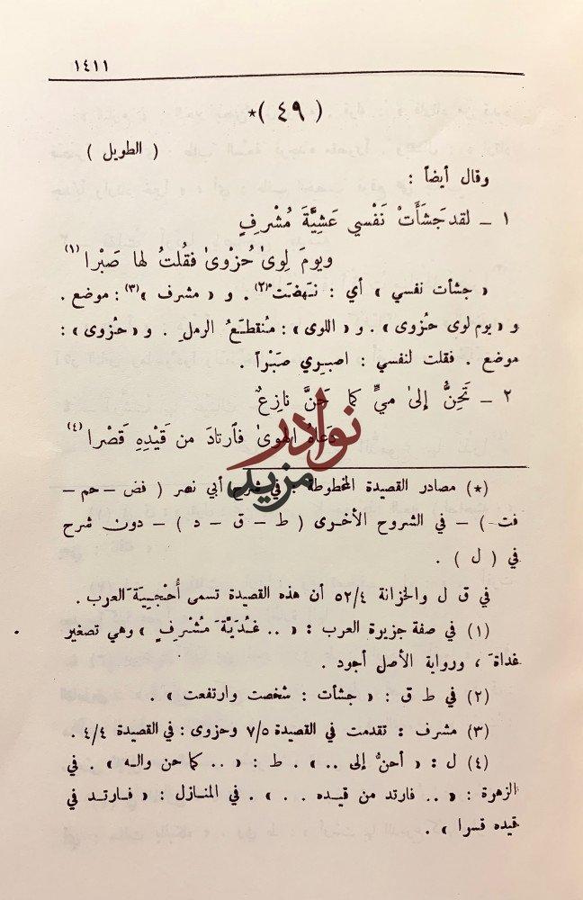 ديوان ذي الرمة3/1