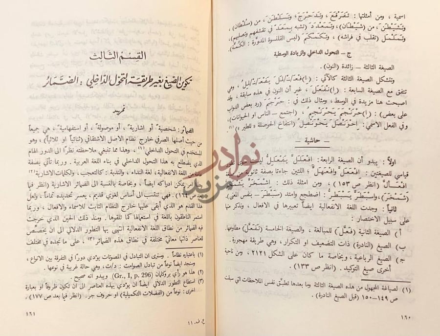 فصل كتاب العربية الفصحى نحو بناء لغوي جديد