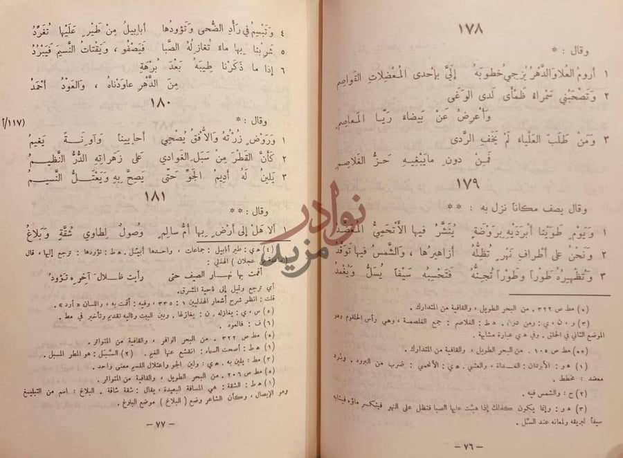 صفحة داخلية كتاب ديوان الابيوردي صفحات من نص شعري