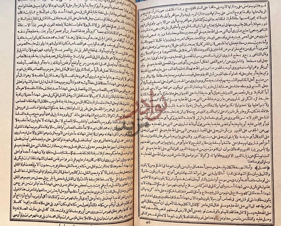 صفحة داخلية كتاب بدائع الصنائع في ترتيب الشرائع فصل