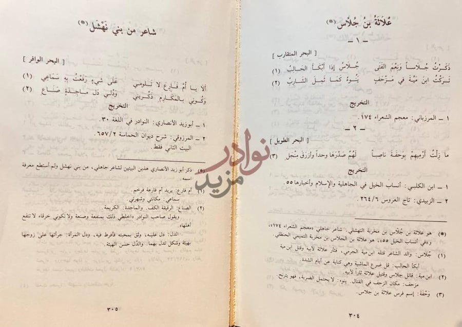 صفحة داخلية كتاب شعر بني تميم في العصر الجاهلي