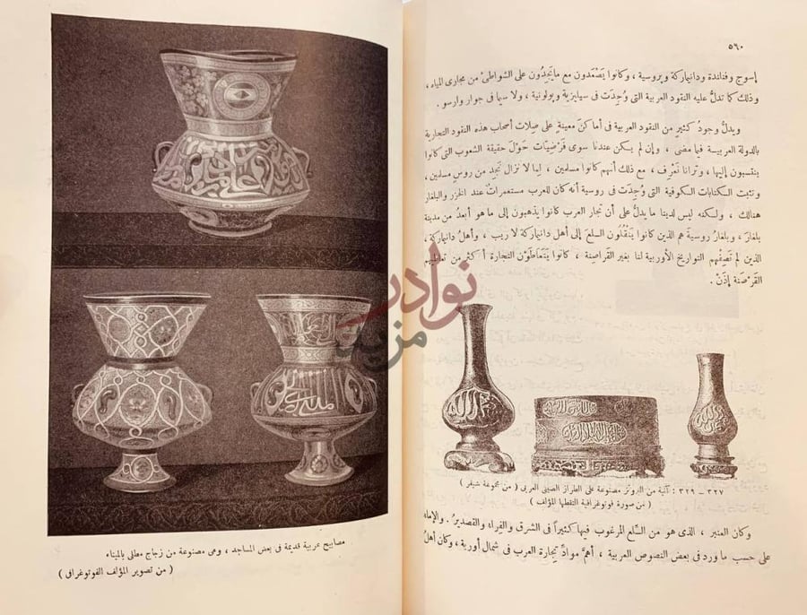 صفحة داخلية كتاب حضارة العرب