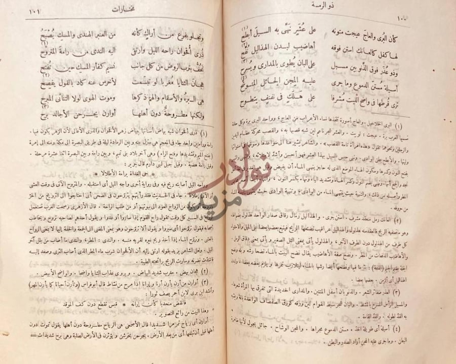 صفحة داخلية كتاب الشوامخ ذو الرمة مختارات