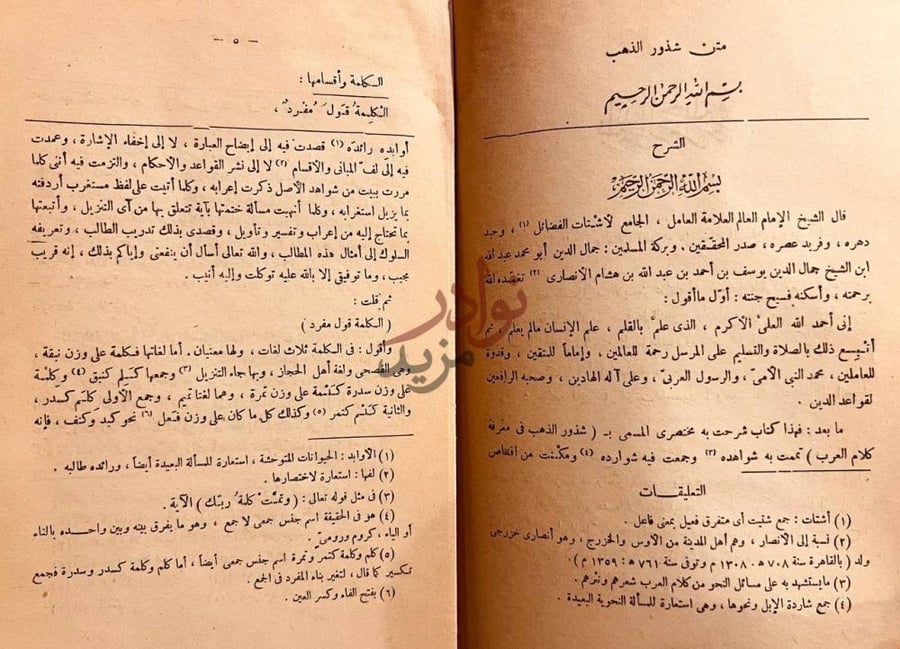 تمهيد كتاب شرح شذور الذهب في معرفة كلام العرب