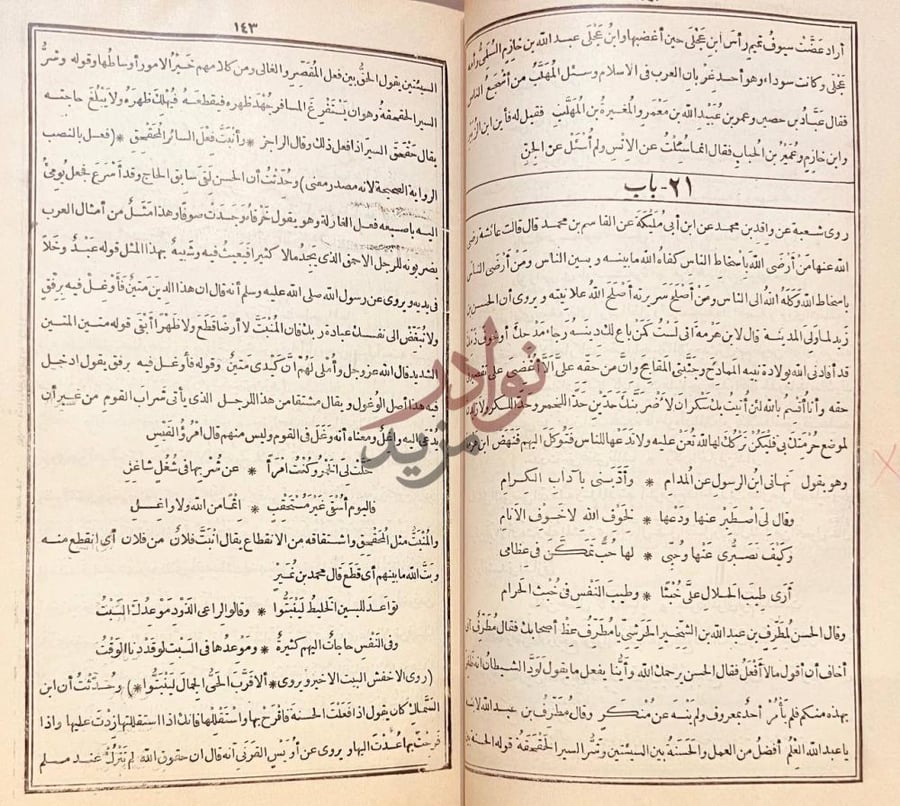 صفحة داخلية كتاب الكامل في اللغة والادب باب