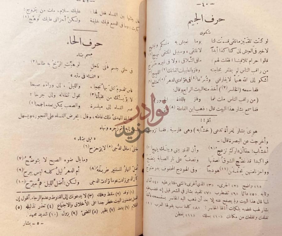صفحة داخلية كتاب بشار بن برد شعره واخباره حرف الجيم حرف
