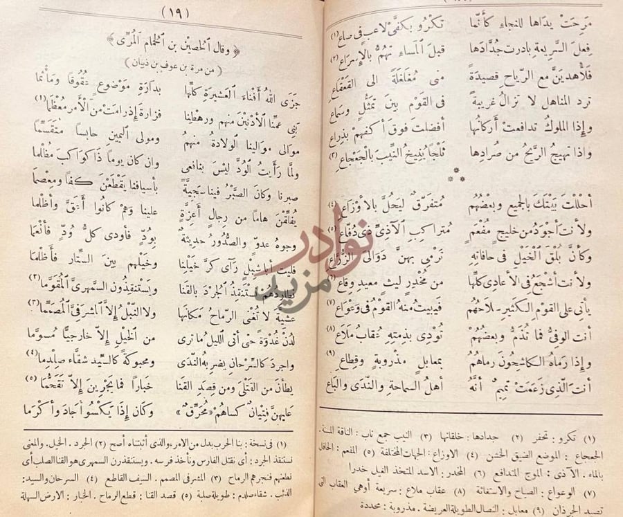 صفحة داخلية كتاب المفضليات صفحتان من متن الكتاب