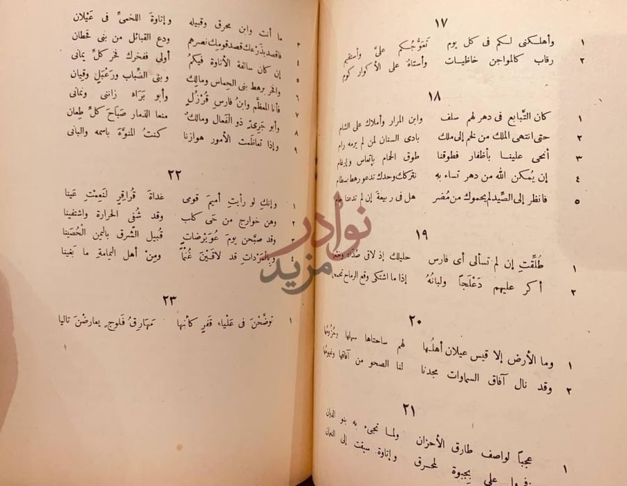 صفحة داخلية كتاب ديوان عامر بن الطفيل العامري