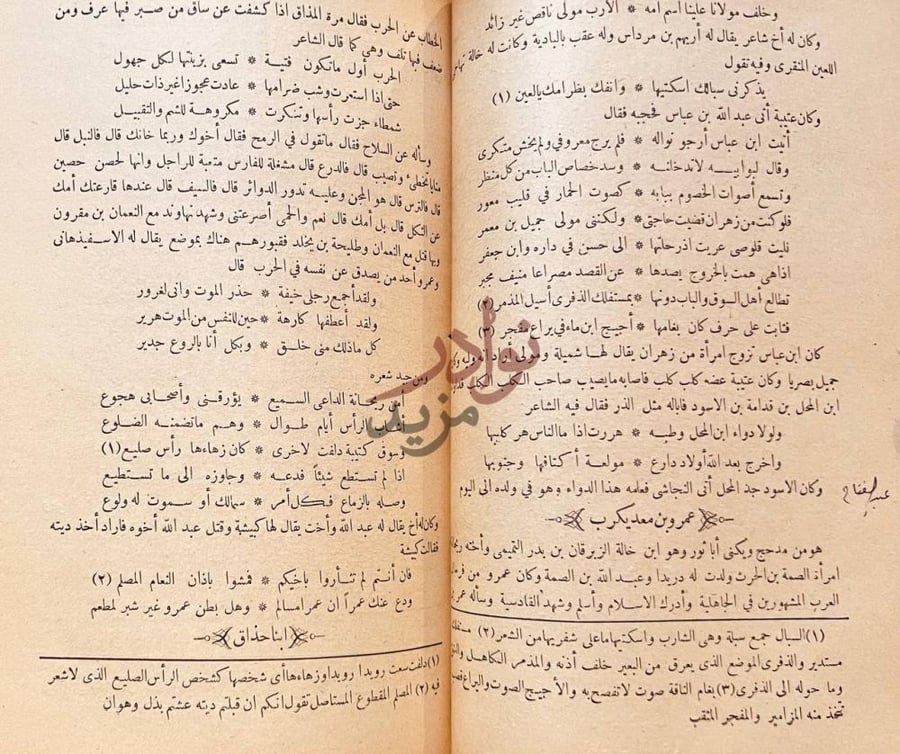 صفحة داخلية كتاب الشعر والشعراء عمرو بن معد يكرب