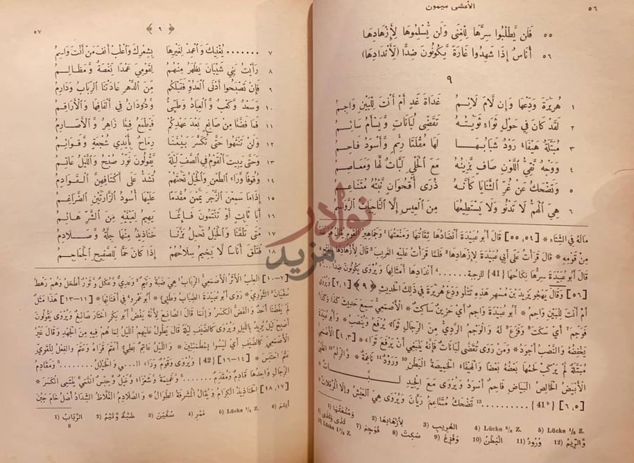 صفحة داخلية كتاب الصبح المنير في شعر ابي بصير الأغشى ميمون