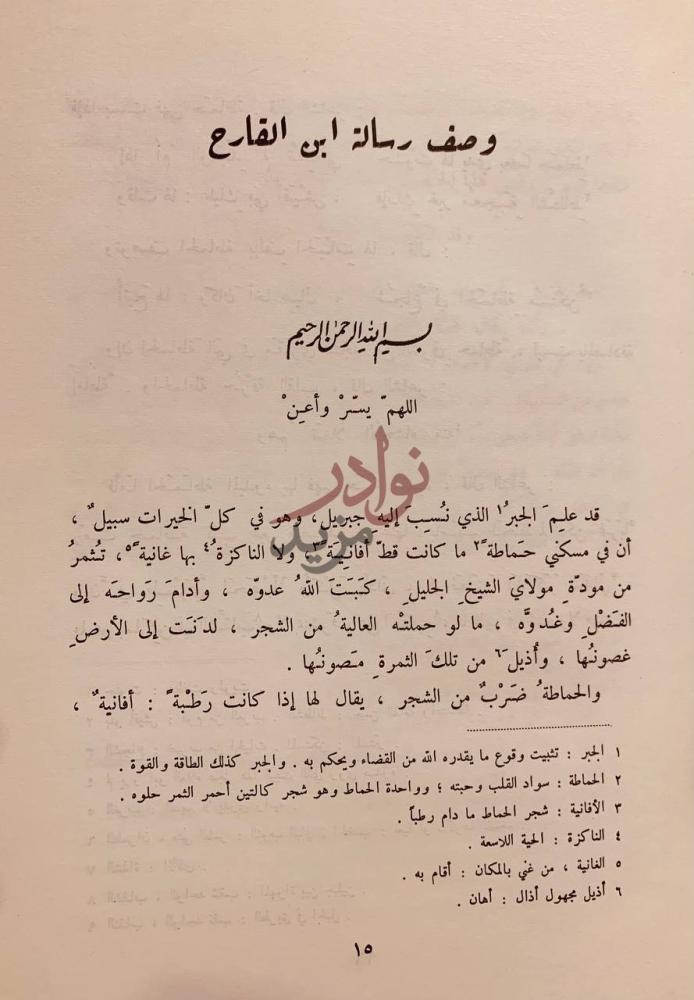 تمهيد كتاب رسالة الغفران وصف رسالة ابن الفارض
