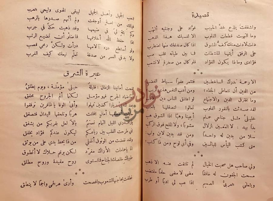 صفحة داخلية كتاب الادب العصري في العراق العربي
