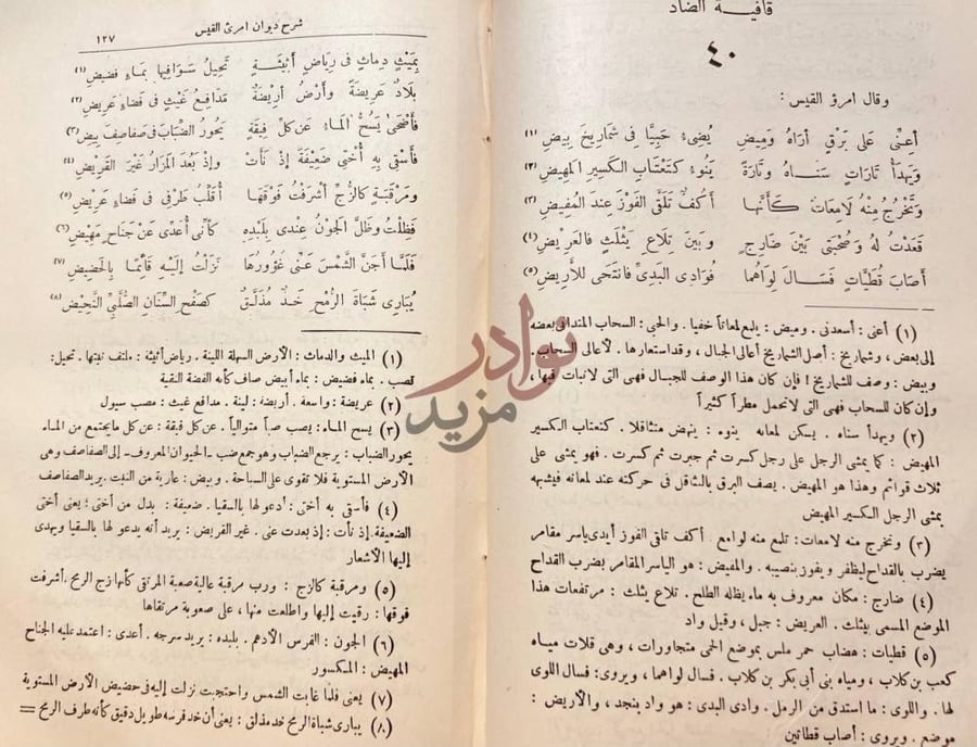 صفحة داخلية كتاب ديوان امرئ القيس قافية الضاد