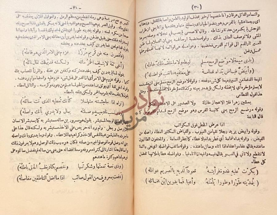 صفحة داخلية كتاب ديوان زهير بن ابى سلمى نص القصيدة وشرحها