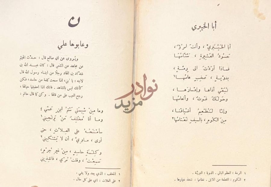 صفحة داخلية كتاب ديوان حاتم الطائي ن