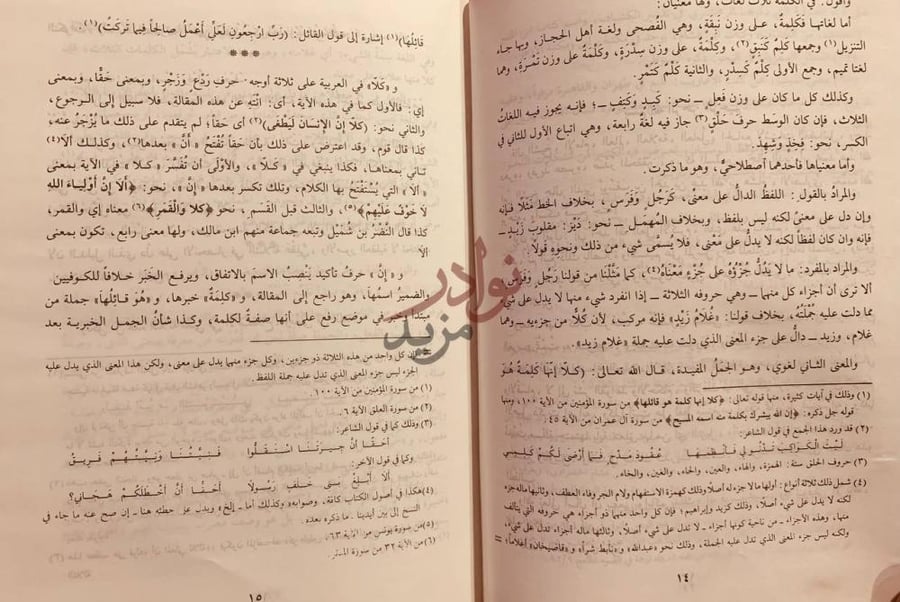 صفحة داخلية كتاب شرح شذور الذهب فى معرفة كلام العرب