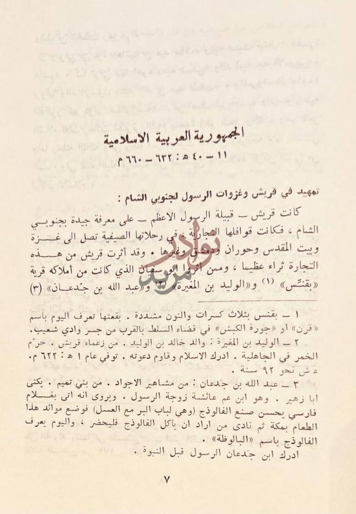 صفحة داخلية كتاب القبائل العربية وسلائلها في بلادنا فلسطين