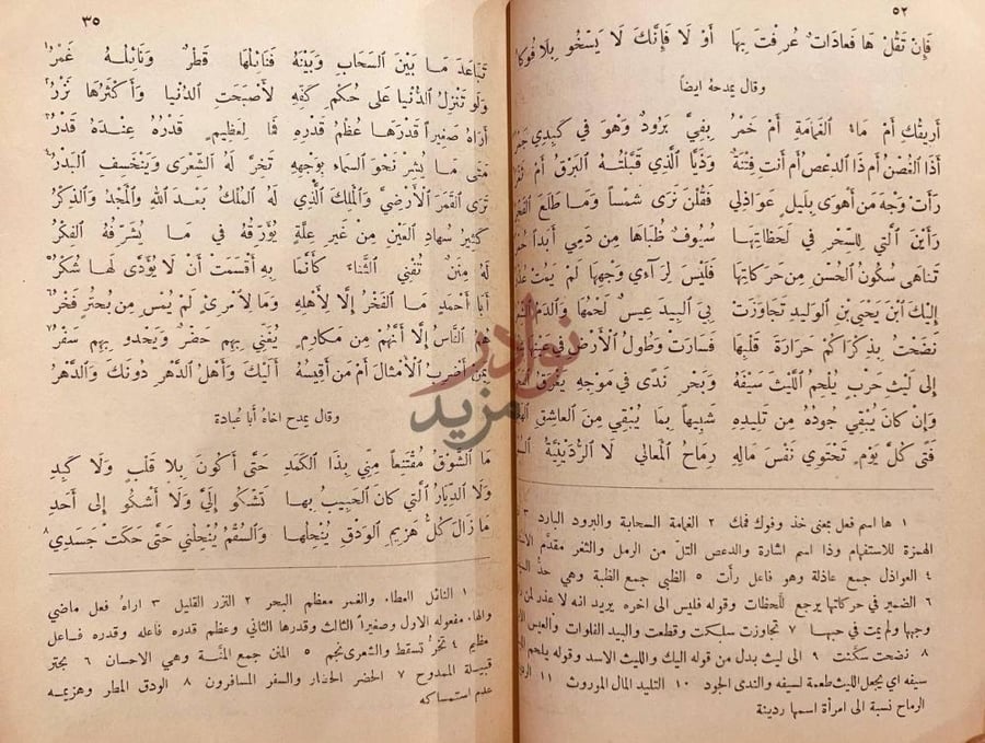 صفحة داخلية كتاب ديوان المتنبي