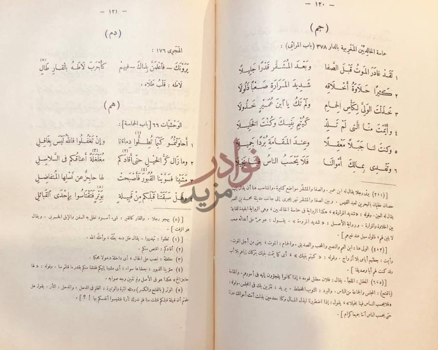 صفحة داخلية كتاب ديوان حميد بن ثور الهلالي جم دم هم