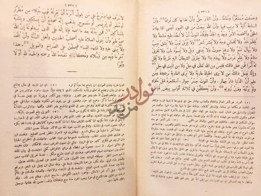 صفحة داخلية كتاب كشف المعاني والبيان عن رسائل بديع الزمان