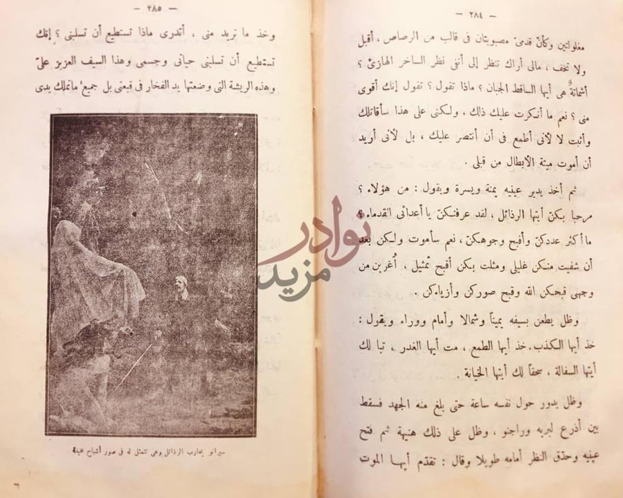 صفحة داخلية كتاب الشاعر