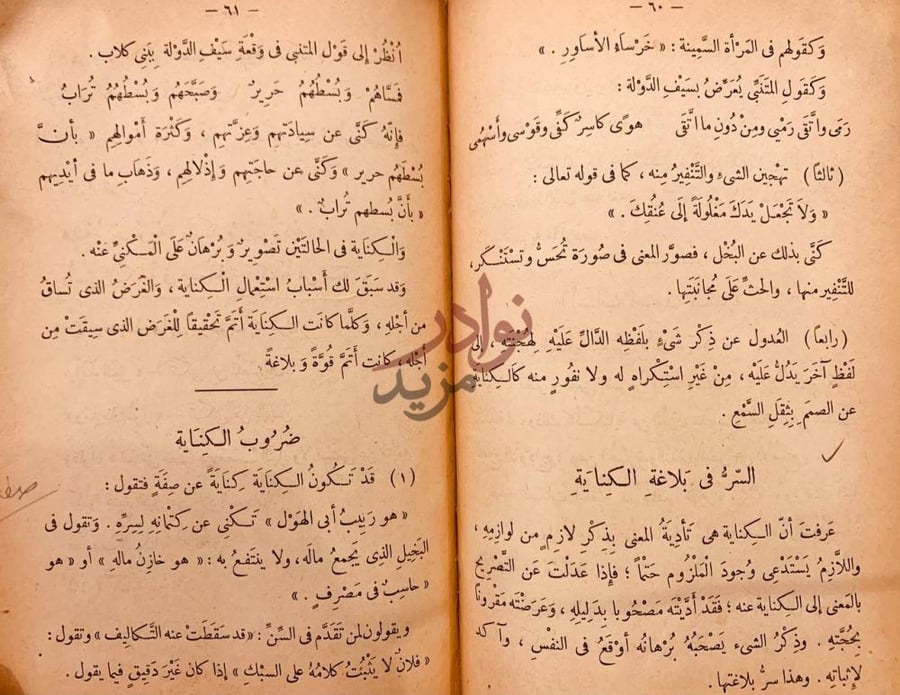 صفحة داخلية كتاب البيان ضروب الكناية