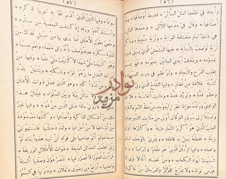 صفحة داخلية كتاب مقامة الامثال السائرة المتضمنة للأحوال