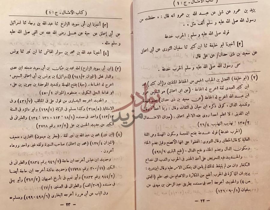 صفحة داخلية كتاب الامثال في الحديث النبوي