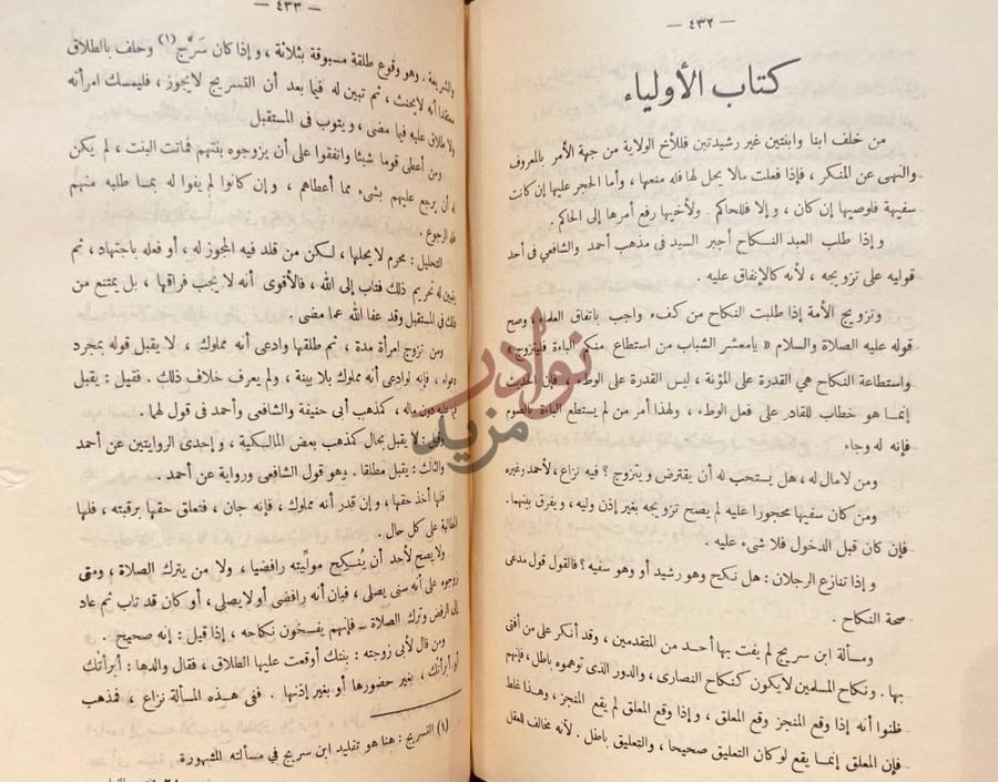 صفحة داخلية كتاب مختصر الفتاوى المصرية كتاب الأولياء
