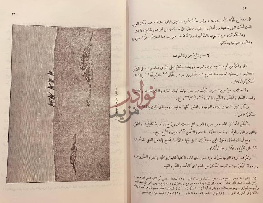 صفحة داخلية كتاب حضارة العرب إنتاج جزيرة