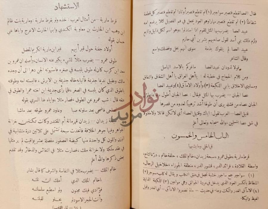 صفحة داخلية كتاب ثمار القلوب في المضاف والمنسوب
