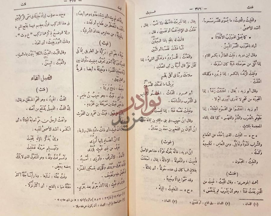 صفحة داخلية كتاب التكملة والذيل والصلة فصل الثاء
