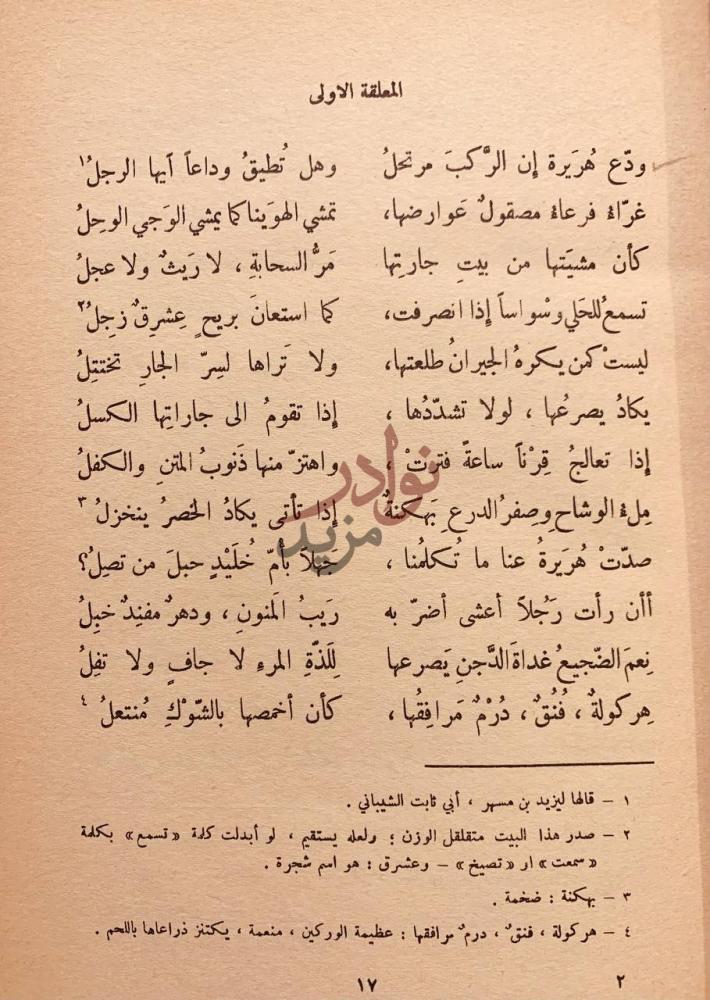 صفحة داخلية كتاب ديوان الاعشى المعلقة الاولى