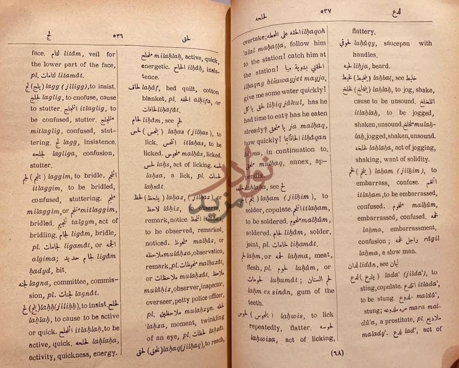 صفحة داخلية كتاب معجم او المفردات عربي انجليزي