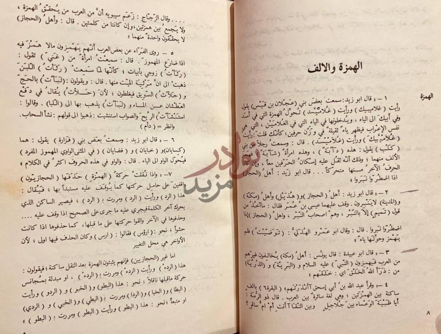 صفحة داخلية كتاب معجم لغات القبائل والامصار