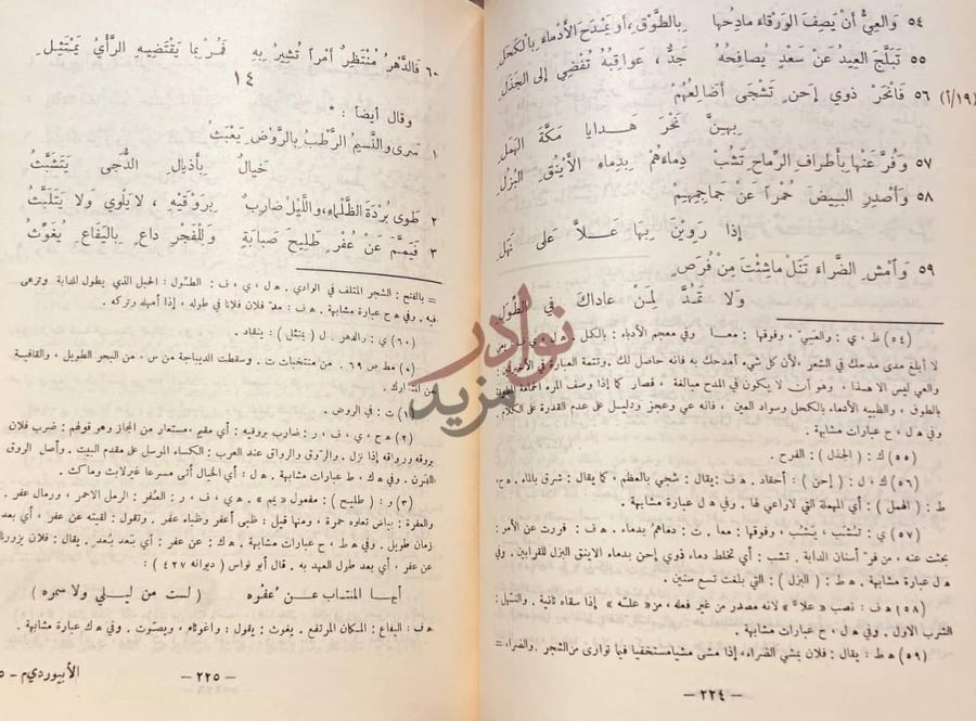 صفحة داخلية كتاب ديوان الابيوردي صفحات من المتن