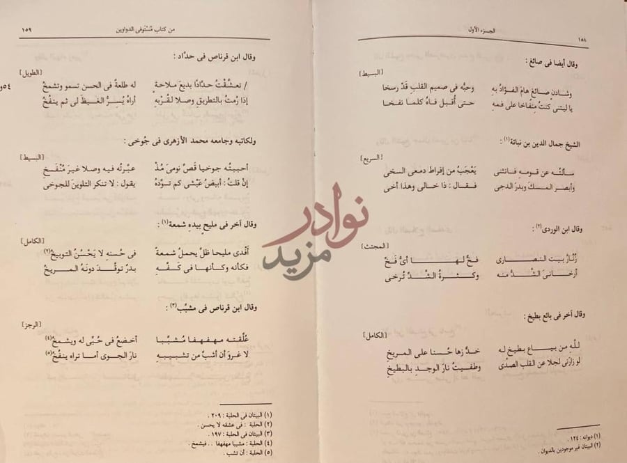 صفحة داخلية كتاب مستوفى الدواوين