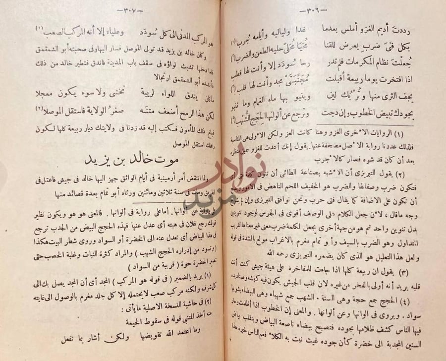صفحة داخلية كتاب هبة الايام فيما يتعلق بابي تمام