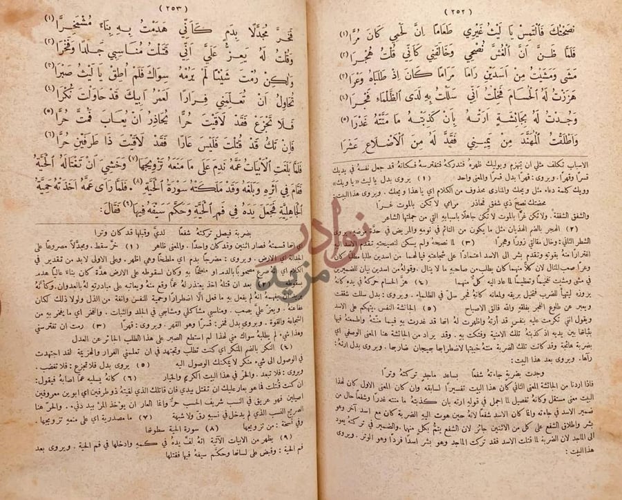 صفحة داخلية كتاب مقامات ابي الفضل بديع الزمان الهمذاني