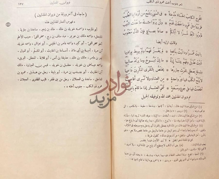 صفحة داخلية كتاب ديوان الهذليين تم ديوان الهذليين